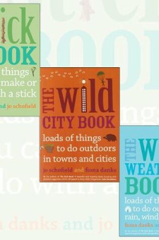 Cover of The Stick, Weather, City Things To Do Books Collection By Fiona Danks. (The Stick Book, The Wild Weather Book and The Wild City Book)