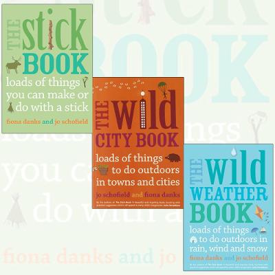 Book cover for The Stick, Weather, City Things To Do Books Collection By Fiona Danks. (The Stick Book, The Wild Weather Book and The Wild City Book)