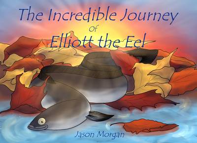 Book cover for The Incredible Journey of Elliott the Eel