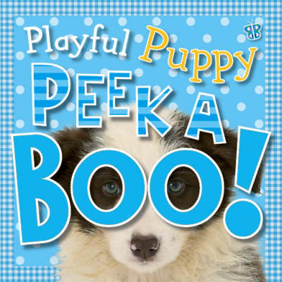 Book cover for Playful Puppy (Peekaboo)