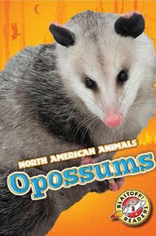 Cover of Opossums