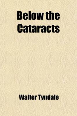 Book cover for Below the Cataracts