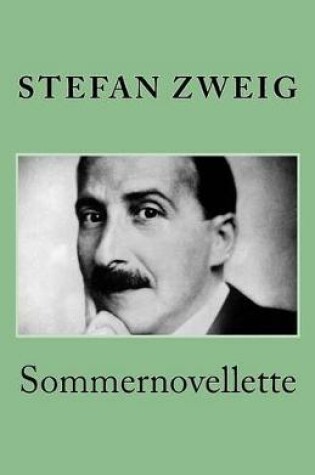Cover of Sommernovellette