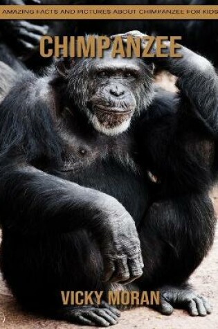 Cover of Chimpanzee