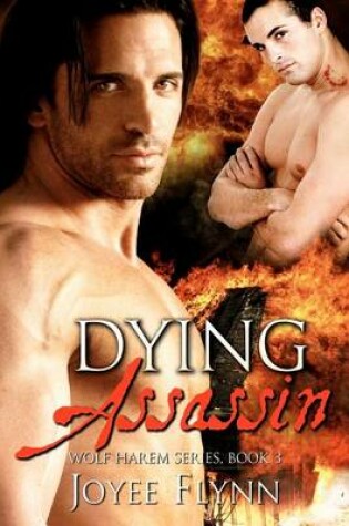 Cover of Dying Assassin