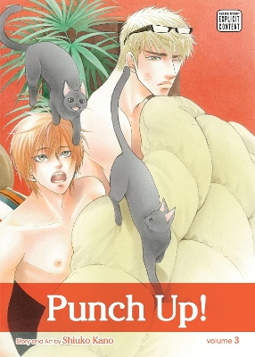 Cover of Punch Up!, Vol. 3