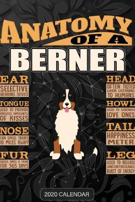 Book cover for Anatomy Of A Bernese Mountain Dog