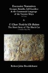 Book cover for Excessive Narratives: Georges Bataille, Self-sacrifice and the Communal Language of the Yucatec Maya and U Chan Tsola'ni Ek Balam (the Short Story of the Black Cat)