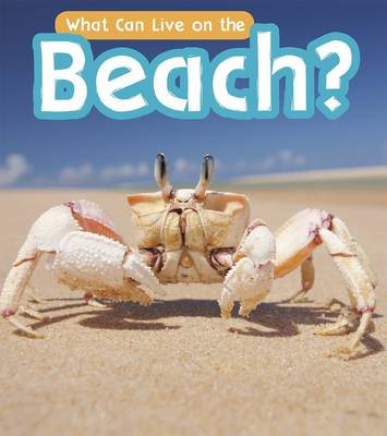 Cover of What Can Live at the Beach?