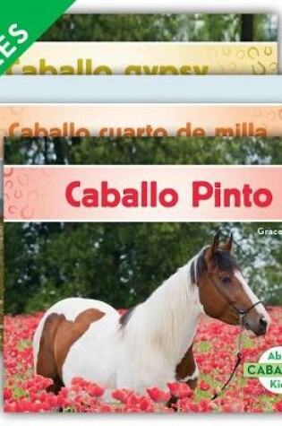 Cover of Caballos Set 1 (Horses) (Set)