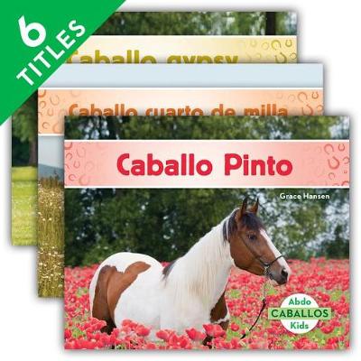 Book cover for Caballos Set 1 (Horses) (Set)