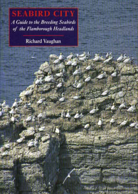 Book cover for Seabird City