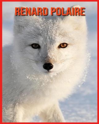 Book cover for Renard Polaire