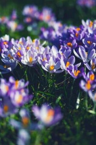 Cover of A Cluster of Crocus Blooms in the Grass Journal