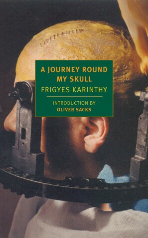 Book cover for A Journey Round My Skull