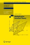 Book cover for Multiplicative Invariant Theory