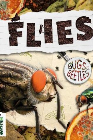 Cover of Flies