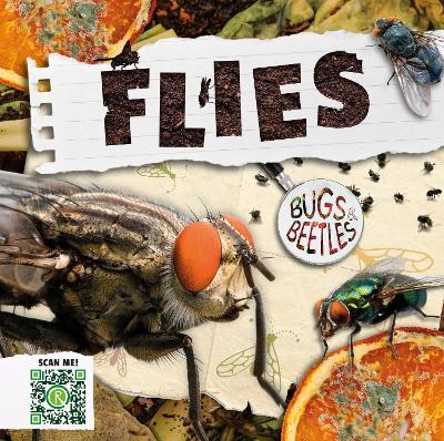 Cover of Flies