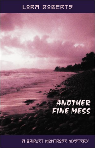 Book cover for Another Fine Mess