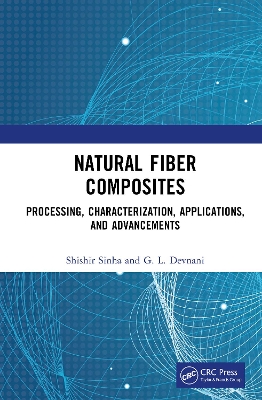 Book cover for Natural Fiber Composites