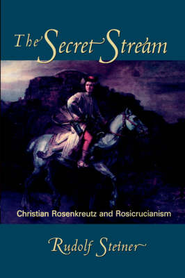 Book cover for The Secret Stream