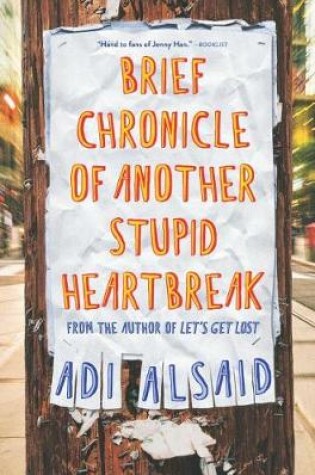 Cover of Brief Chronicle of Another Stupid Heartbreak