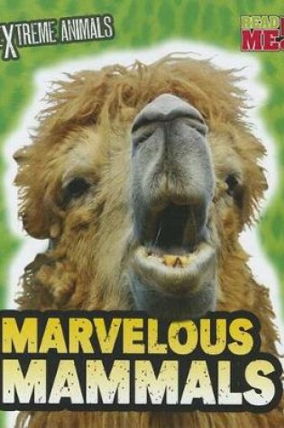 Cover of Marvelous Mammals (Extreme Animals)