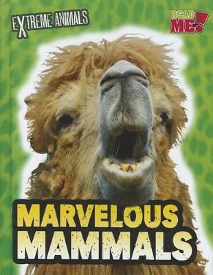 Book cover for Extreme Animals Marvelous Mammals