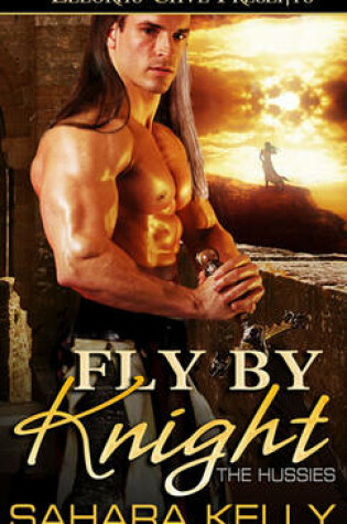 Cover of Fly by Knight