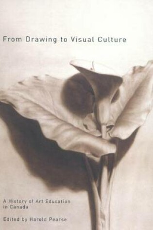 Cover of From Drawing to Visual Culture