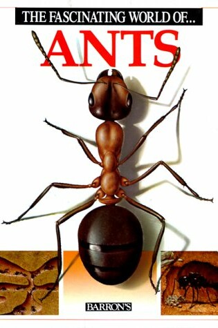 Cover of The Fascinating World of-- Ants