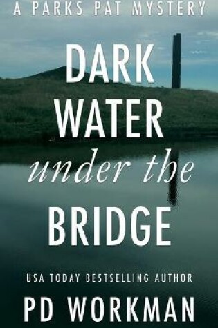 Cover of Dark Water Under the Bridge
