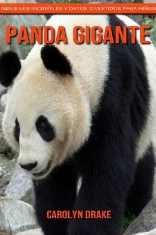 Cover of Panda gigante