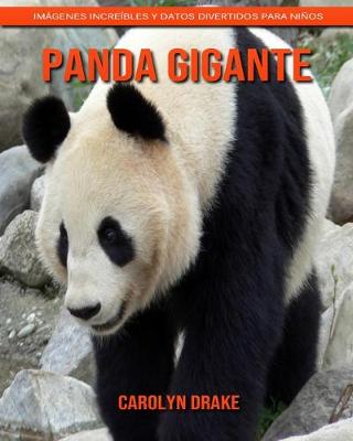 Book cover for Panda gigante