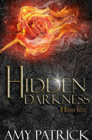 Cover of Hidden Darkness, Book 4 of the Hidden Saga