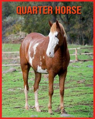 Book cover for Quarter Horse