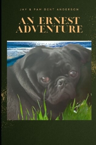 Cover of An Ernest Adventure