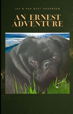 Book cover for An Ernest Adventure