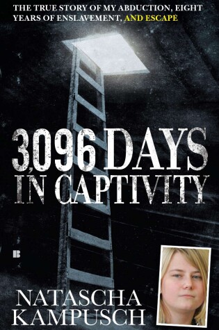 Cover of 3,096 Days in Captivity