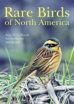 Book cover for Rare Birds of North America