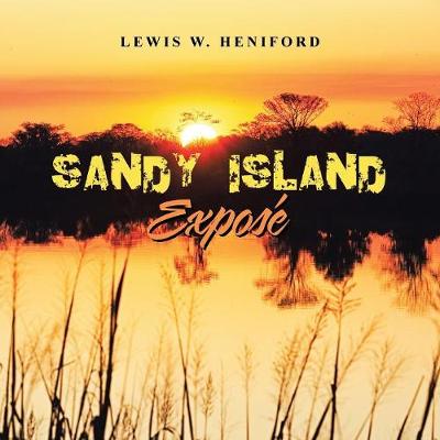 Book cover for Sandy Island Exposé