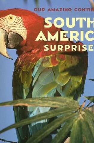 Cover of South America, Surprise!