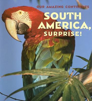 Cover of South America, Surprise!