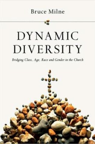 Cover of Dynamic Diversity