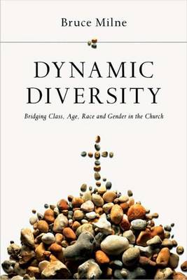 Book cover for Dynamic Diversity