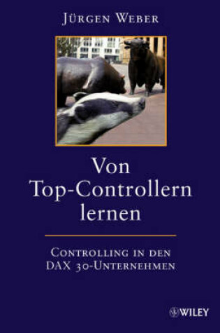 Cover of Von Top–Controllern lernen