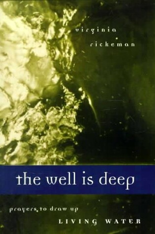 Cover of The Well is Deep