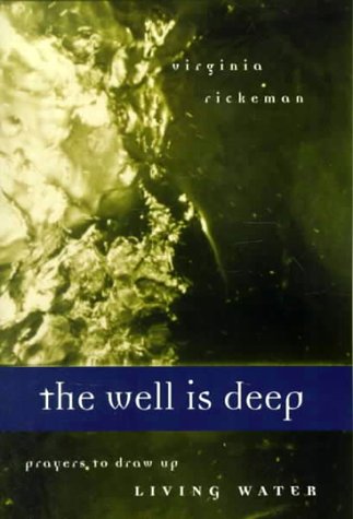Book cover for The Well is Deep