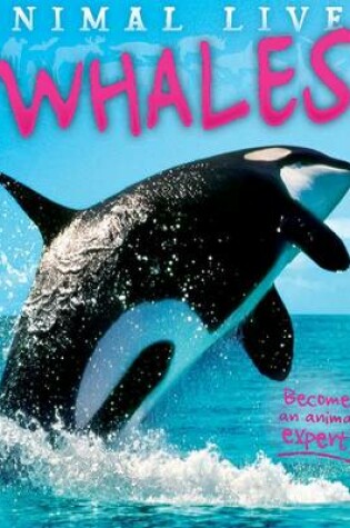 Cover of Animal Lives: Whales