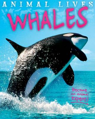 Book cover for Animal Lives: Whales